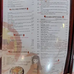 Soup, Salad, Katsu and Donburi, Fried rice and more.