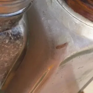 salt and pepper shakers