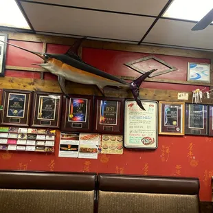 a fish mounted on the wall