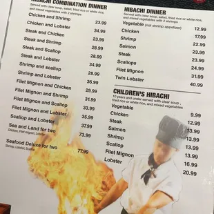 Tokyo Hana.  Hibachi plates.