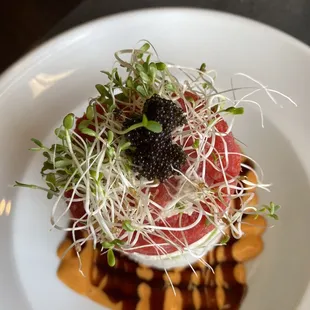 CA1. Ahi Tower so good