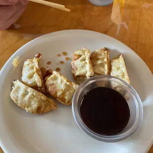 Gyoza