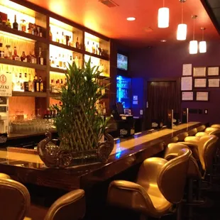 interior, sushi and sashimi