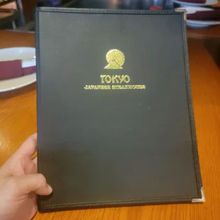 a hand holding a menu