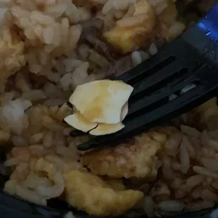 Egg Shell