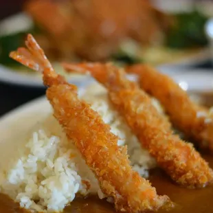 Shrimp katsu curry
