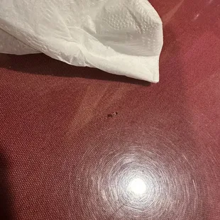 CockRoach