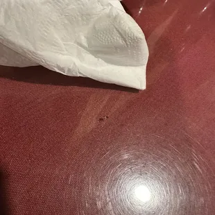 Cockroach place is disgusting