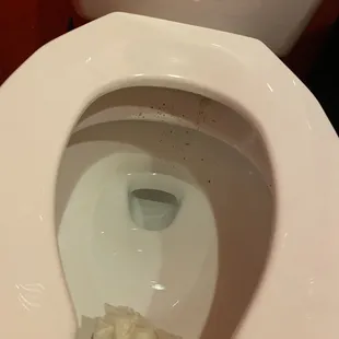 Filthy bathroom