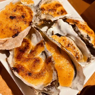food, mussels, oysters and mussels, shellfish, oysters