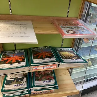 Notebooks for class.