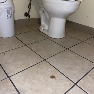 Disgusting bathroom that obviously hasn&apos;t been swept in weeks.