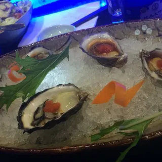 Fresh Oyster