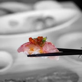 8 Pieces omakase of Nigiri