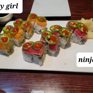 Sexy Girl and Ninja