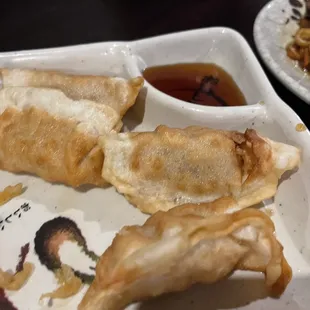 Fried Dumplings