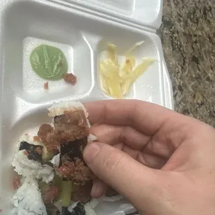 Ordered Udon and Spicy Tuna Roll Combo