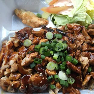 Chicken plate...big portion for only $7.95