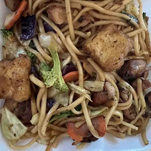 Yaki Udon with chicken and Tofu