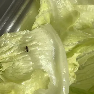 These were all throughout my salad