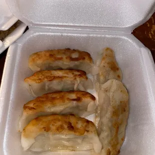 Gyoza