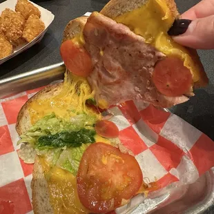 I can&apos;t imagine someone seeing these tomatoes and thinking it was ok to put them on the Sandwhich
