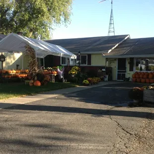 a house with pumpkins on display