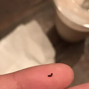 Piece of plastic in my shake. I pulled this out of my mouth along with a bigger piece of plastic. Wish I got a picture of it.