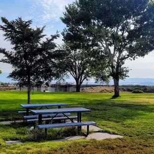 Picnic tables