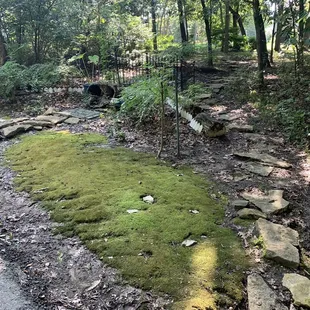 Tomahawk Creek Trail