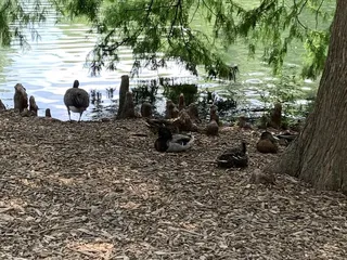 Antioch Park