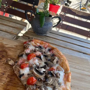 Mushroom pizza