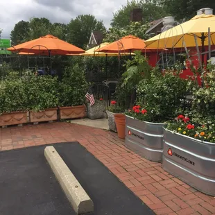 outside, sushi and sashimi