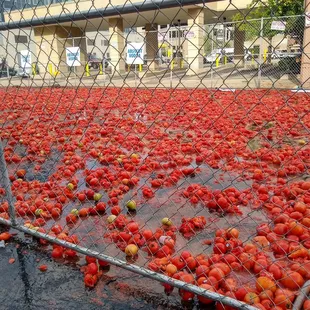 Every year great times...