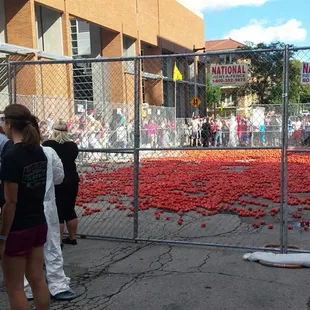 Just before the gates opened.