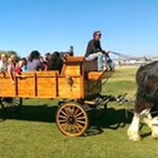 Wagon Rides on site or for your private event