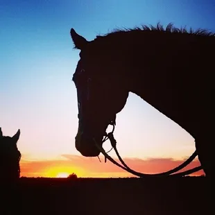 Sunset Rides