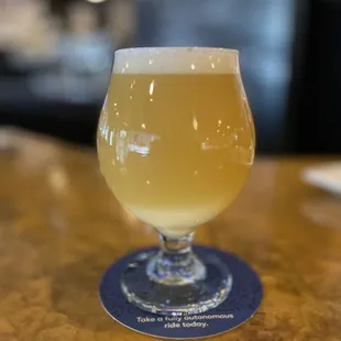 Spawn of Earp - Imperial IPA