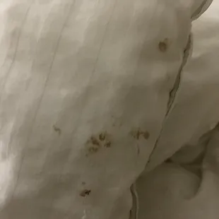 Blood on our bedding that was not cleaned, before our stay.
