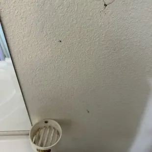 Crush cockroach antenna on the wall and a moldy soap stand