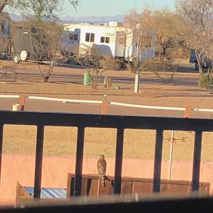 Pictures from the park and close surroundings