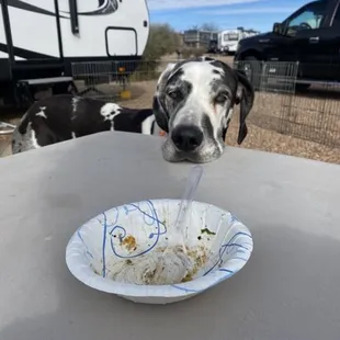 Grace You're silently begging