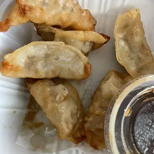 Gyoza