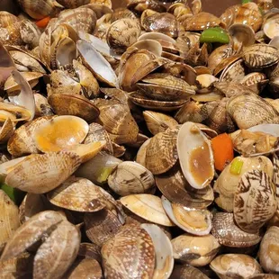 Clams