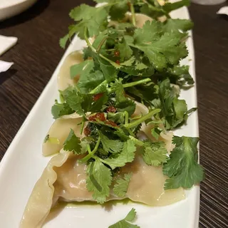 Cilantro Gyoza