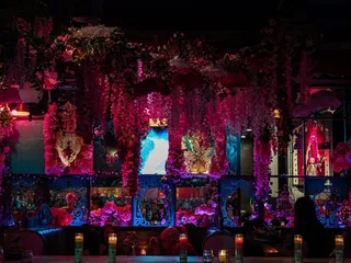 Cantina Tequila