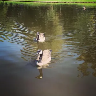 It's like they're coming for me!!! Should I be scared?