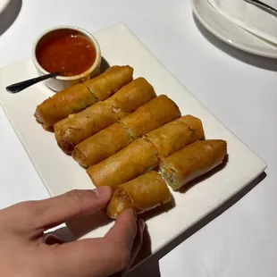 01. Spring Rolls
