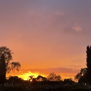 a sunset over a cemetery