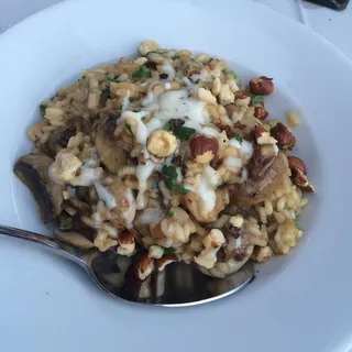 Hazelnut Risotto Mushrooms